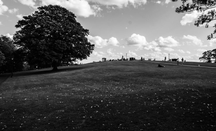 Primrose Hill